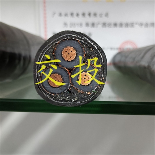 m.thierimport-auto.com