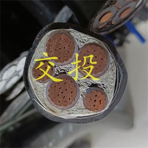 m.thierimport-auto.com