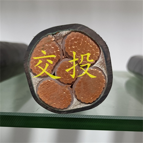 m.thierimport-auto.com