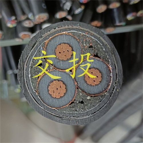 m.thierimport-auto.com