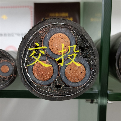 m.thierimport-auto.com