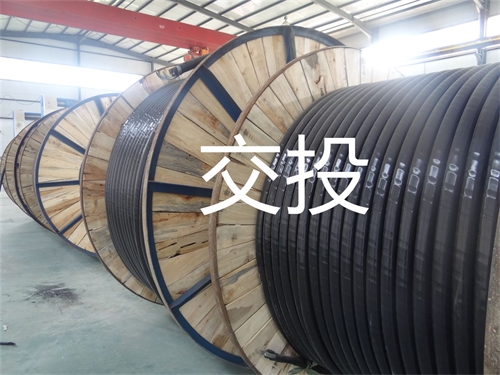 m.thierimport-auto.com