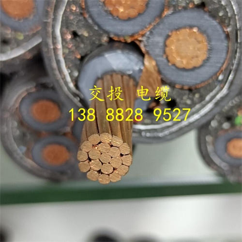 m.thierimport-auto.com