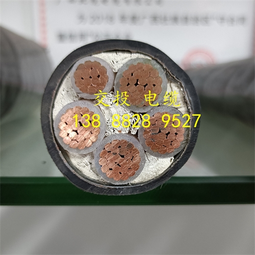 m.thierimport-auto.com