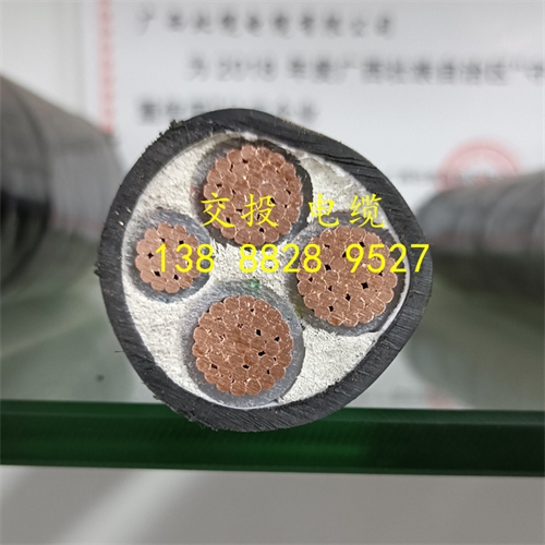 m.thierimport-auto.com