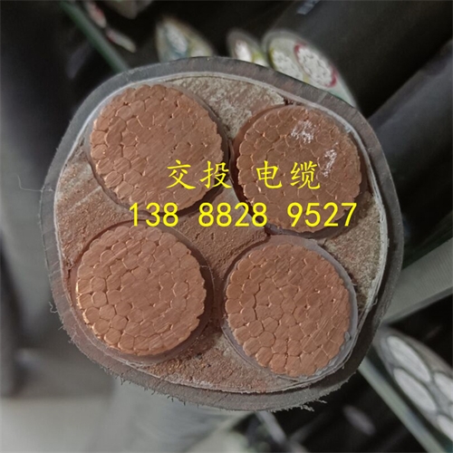 m.thierimport-auto.com