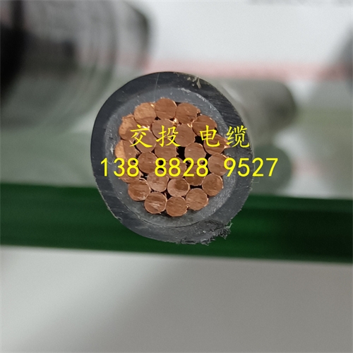 m.thierimport-auto.com