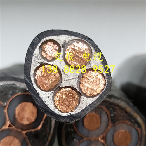 m.thierimport-auto.com