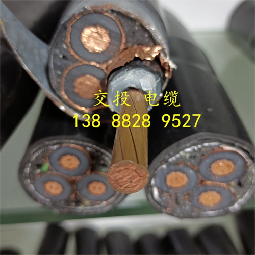 m.thierimport-auto.com