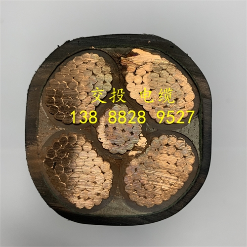 m.thierimport-auto.com