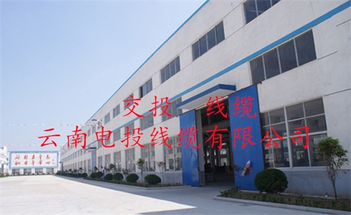 m.thierimport-auto.com