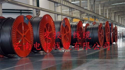 m.thierimport-auto.com