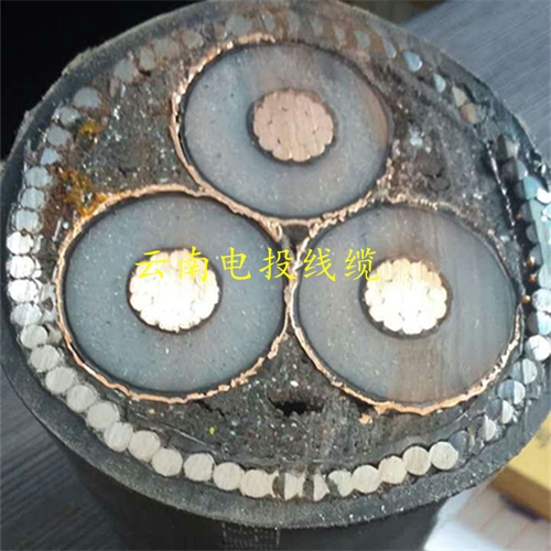 m.thierimport-auto.com