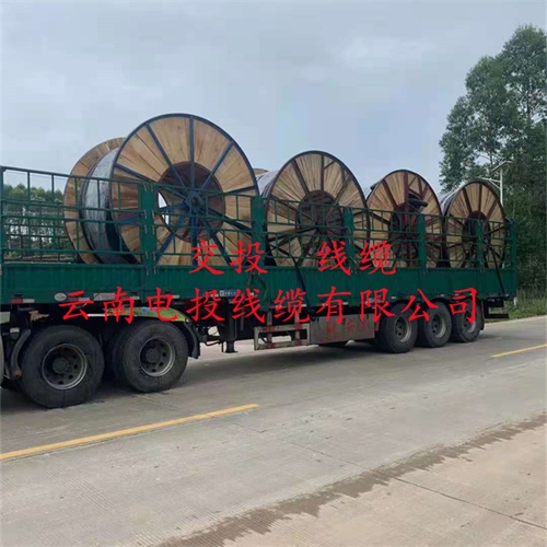 m.thierimport-auto.com