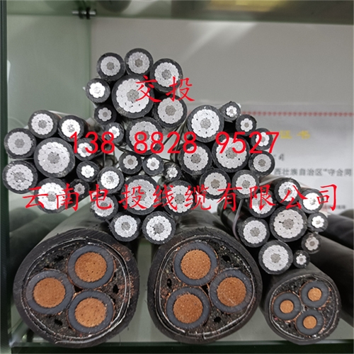 m.thierimport-auto.com