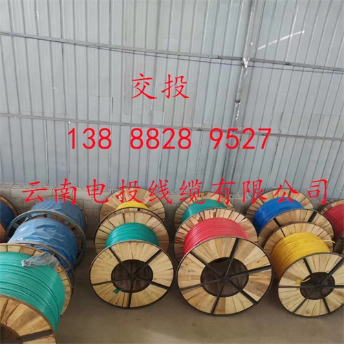 m.thierimport-auto.com