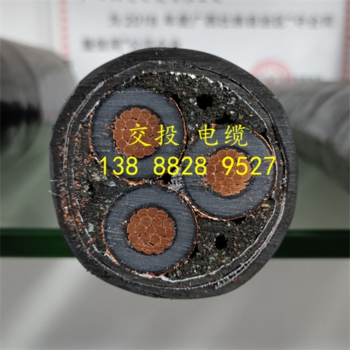 m.thierimport-auto.com