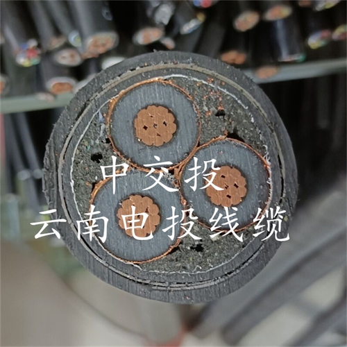 m.thierimport-auto.com