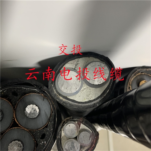 m.thierimport-auto.com