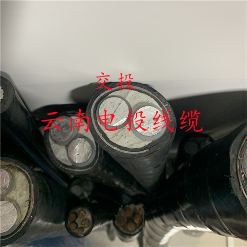 m.thierimport-auto.com