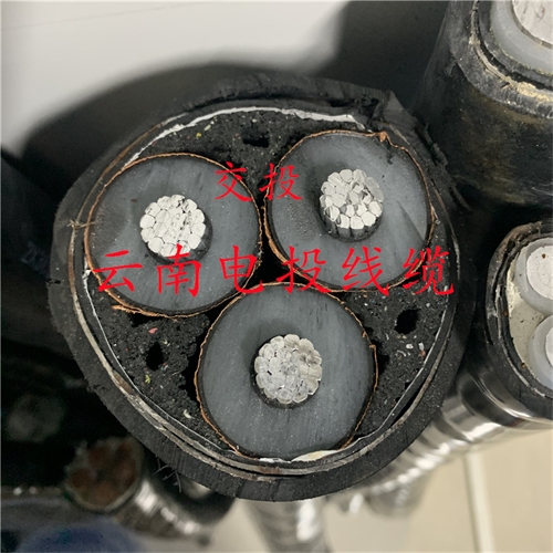 m.thierimport-auto.com