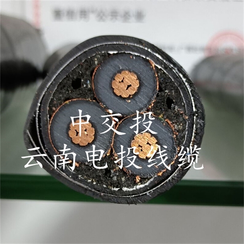 m.thierimport-auto.com