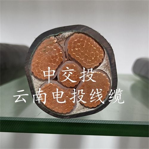 m.thierimport-auto.com