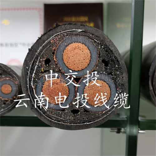 m.thierimport-auto.com