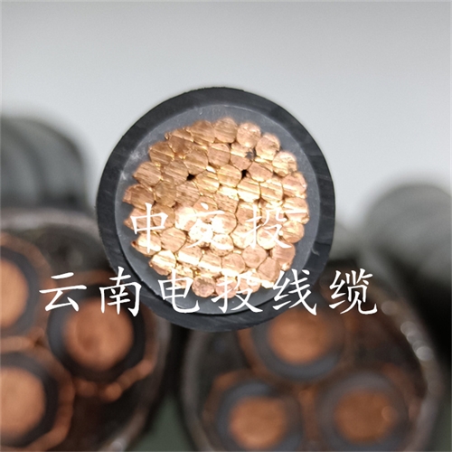 m.thierimport-auto.com