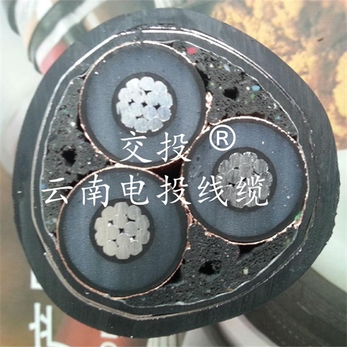 m.thierimport-auto.com