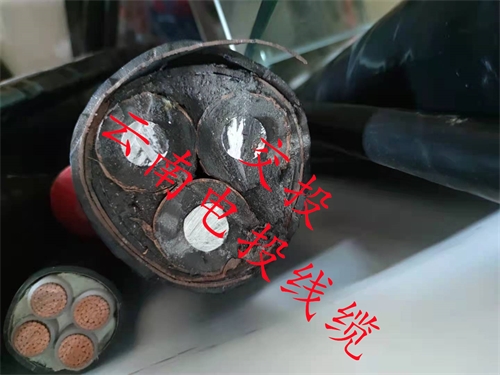 m.thierimport-auto.com