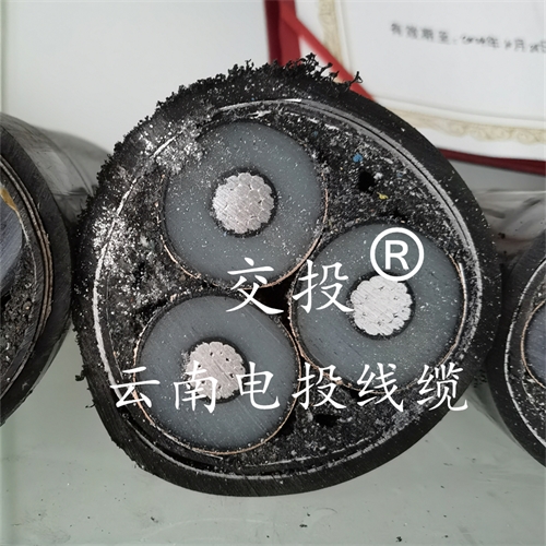 m.thierimport-auto.com