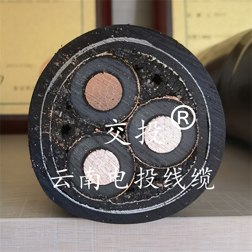 m.thierimport-auto.com