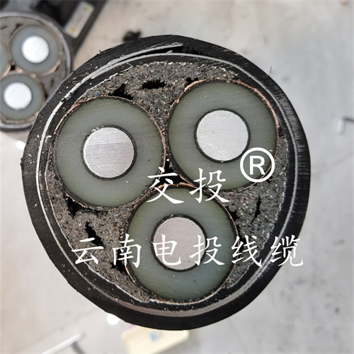 m.thierimport-auto.com