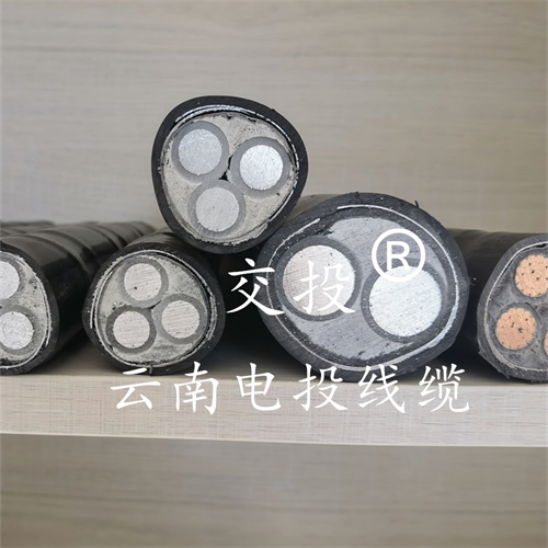 m.thierimport-auto.com