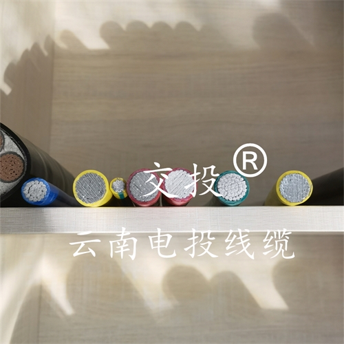 m.thierimport-auto.com