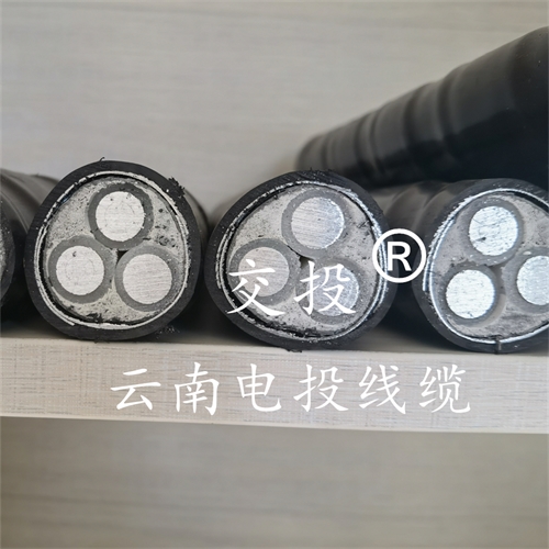 m.thierimport-auto.com