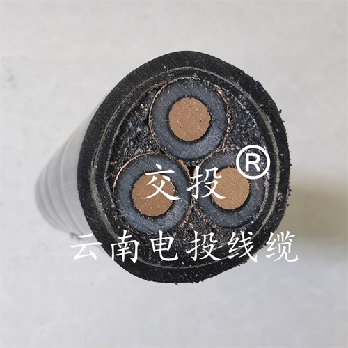 m.thierimport-auto.com