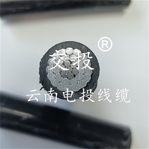 m.thierimport-auto.com