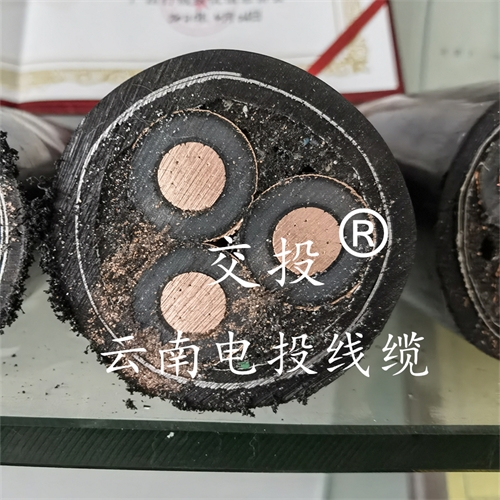 m.thierimport-auto.com