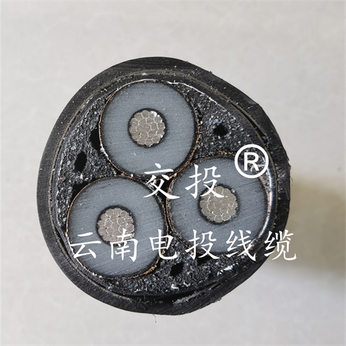 m.thierimport-auto.com