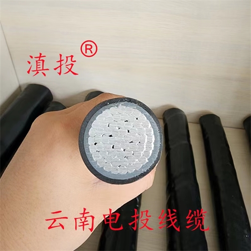 m.thierimport-auto.com