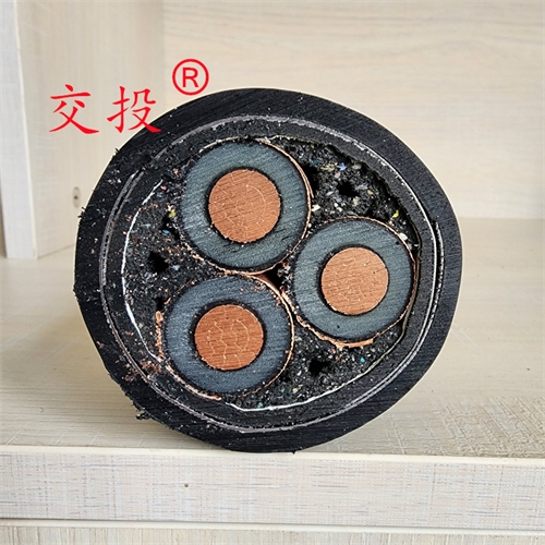 m.thierimport-auto.com