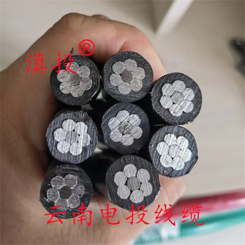 m.thierimport-auto.com