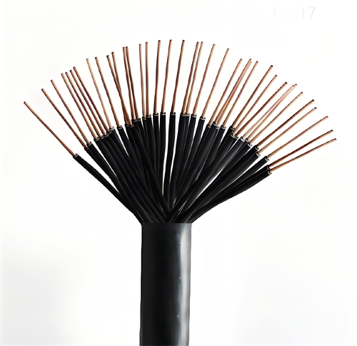 m.thierimport-auto.com