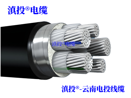 m.thierimport-auto.com