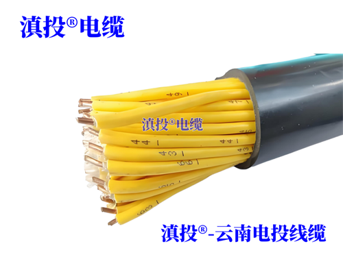 m.thierimport-auto.com