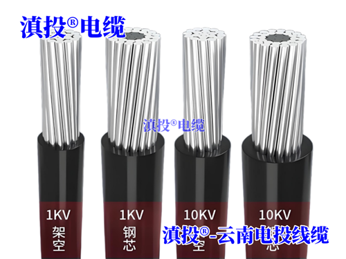 m.thierimport-auto.com